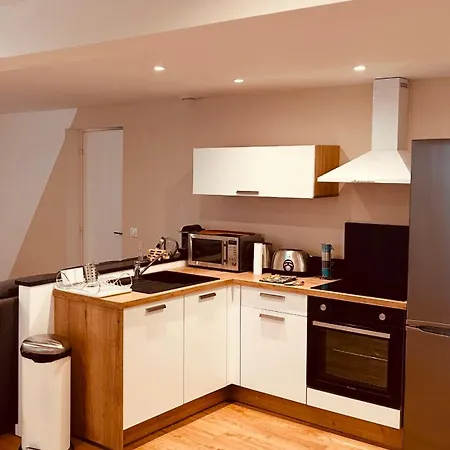Renove 3 Avec Parking A 公寓 尼斯